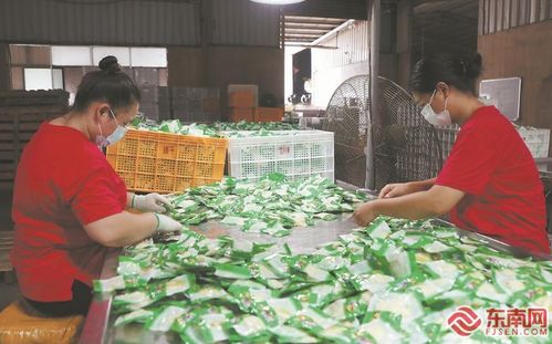 南靖生产开发的多种竹笋食品畅销市场