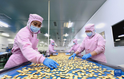 河北邱县:食品企业生产忙